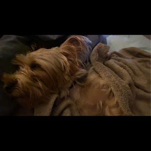 Meet your Posher, Brittany